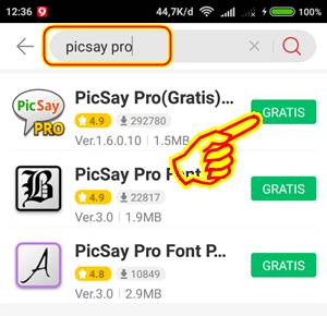 Download PicSay Pro Gratis