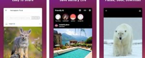 Cara Mengaktifkan Instagram Dark Mode Android Terbaru