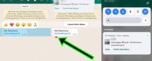Cara Memunculkan Reaksi WhatsApp Android (WA Reactions)